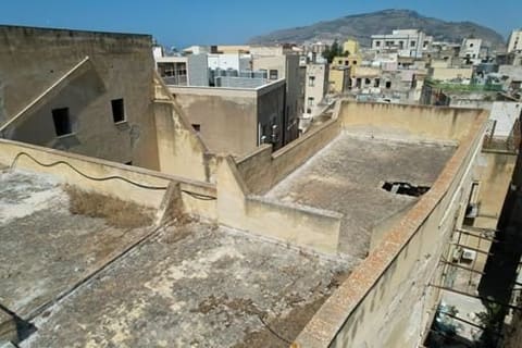 Photo of the lot 5