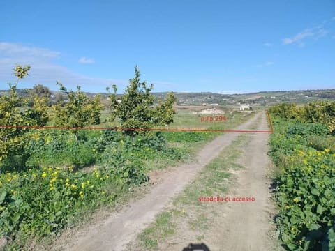 Photo: Altra categoria in Carlentini (SR)