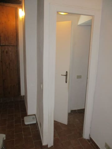 Photo of the lot 5