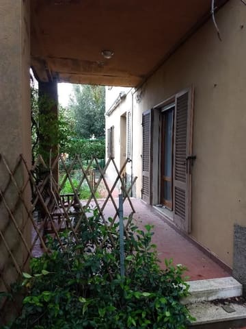Photo of the lot 3