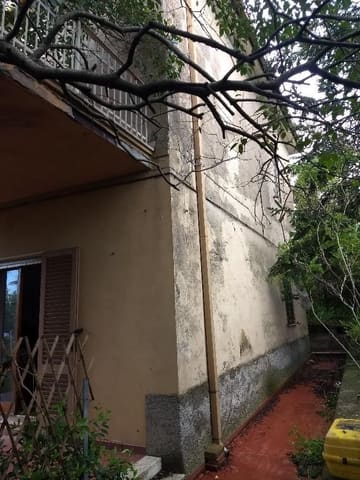 Photo of the lot 4