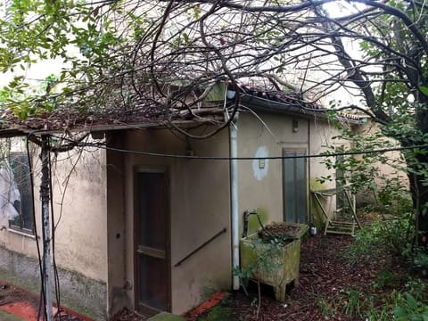 Photo of the lot 6