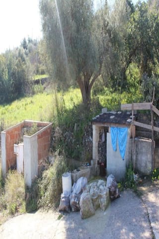 Photo of the lot 2