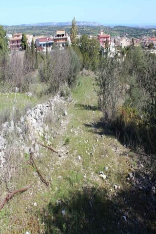 Photo of the lot 3