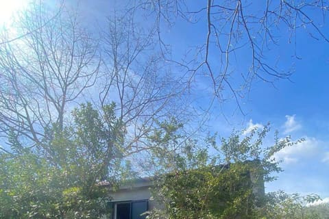 Photo: Immobile residenziale in Manciano (GR)