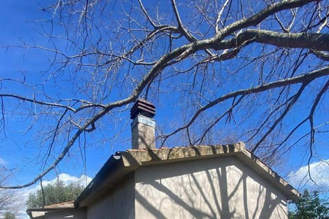 Photo of the lot 2