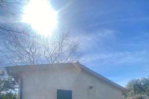 Photo of the lot 4