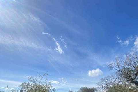 Photo of the lot 5