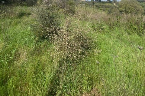 Photo of the lot 8