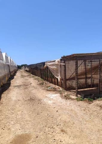 Photo: Altra categoria in Portopalo di Capo Passero (SR)