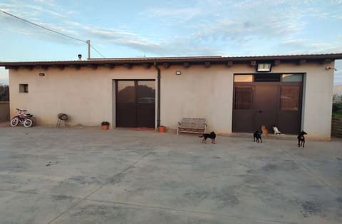 Photo of the lot 2