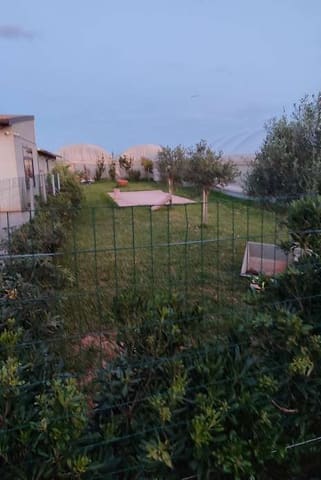 Photo of the lot 6