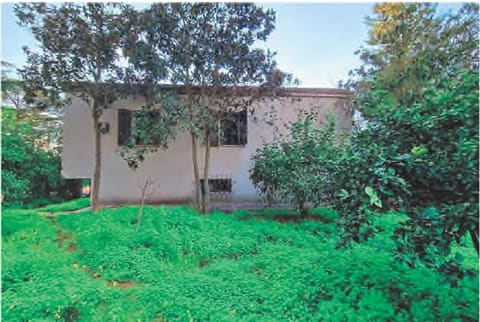 Photo of the lot 2