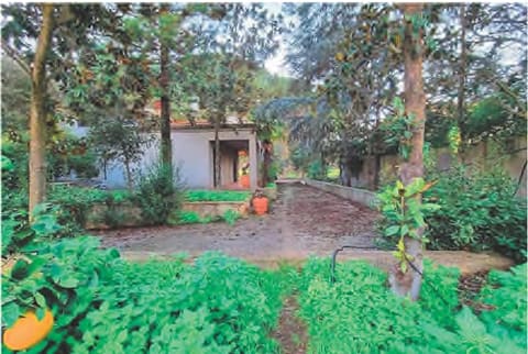 Photo of the lot 4