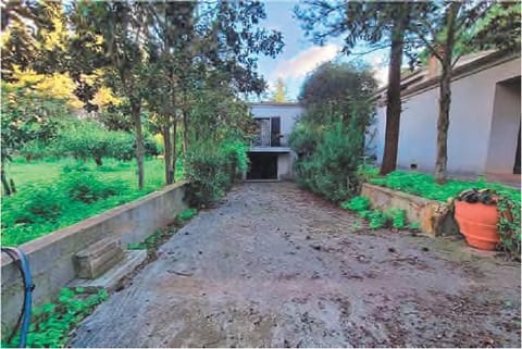 Photo of the lot 5