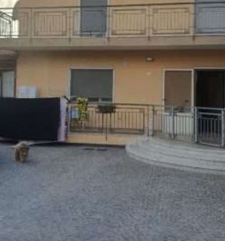 Photo of the lot 3