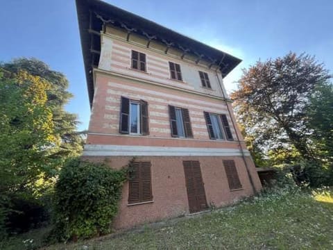 Photo of the lot 3