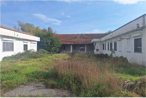 Photo of the lot 4