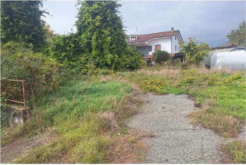 Photo of the lot 5