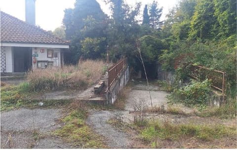 Photo of the lot 6
