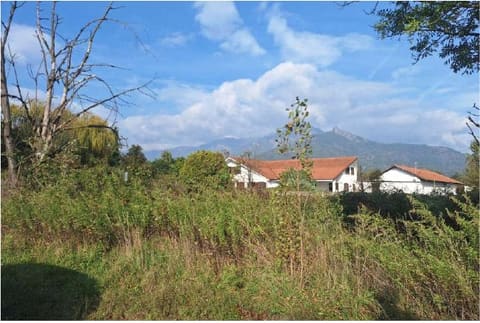 Photo of the lot 7