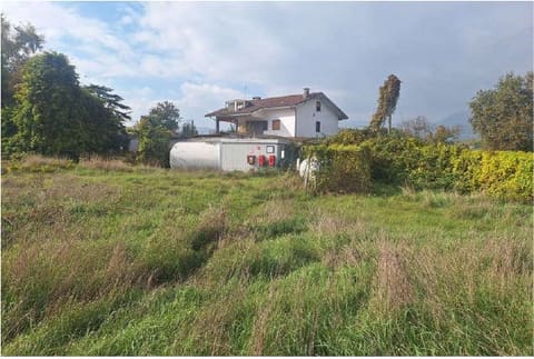 Photo of the lot 8