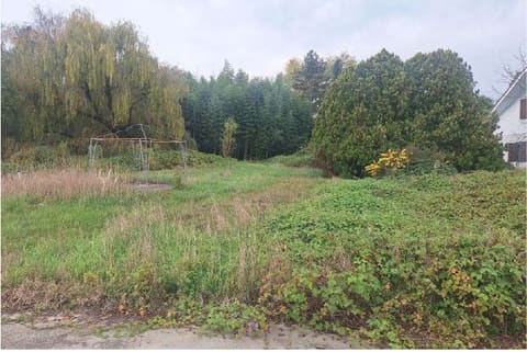Photo of the lot 9