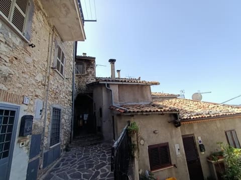 Photo of the lot 1