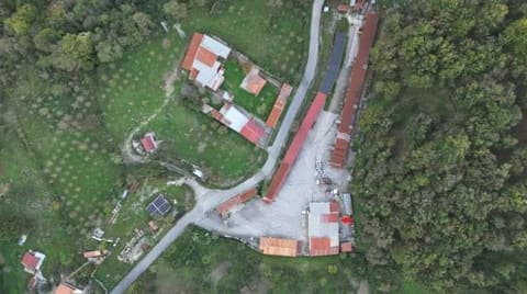 Photo of the lot 6