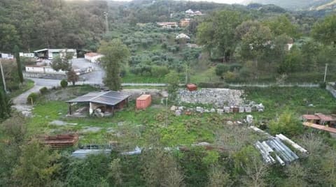 Photo of the lot 8