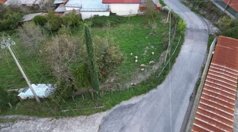 Photo of the lot 9