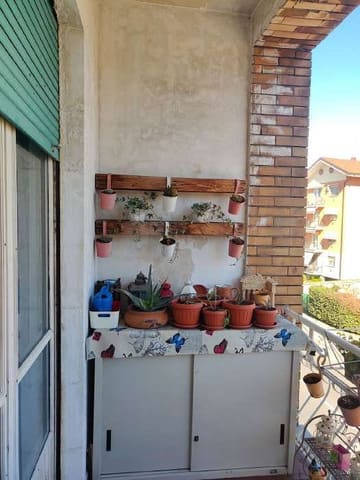 Photo of the lot 2