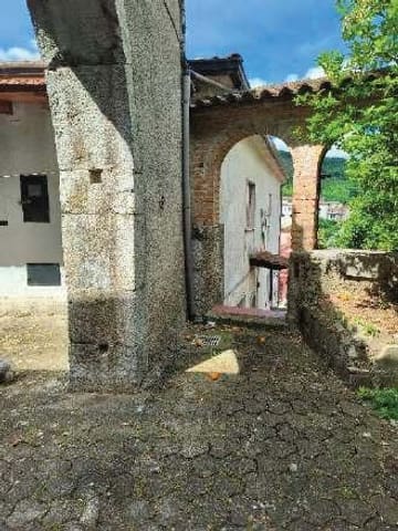 Photo of the lot 4