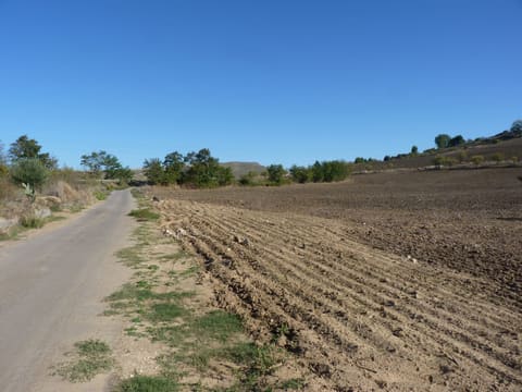 Photo: Altra categoria in Enna (EN)