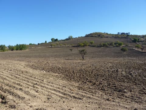 Photo: Altra categoria in Enna (EN)