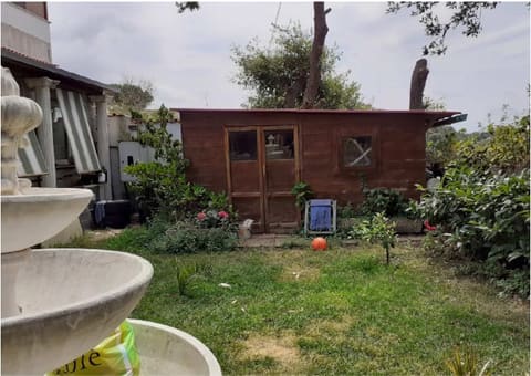 Photo of the lot 5
