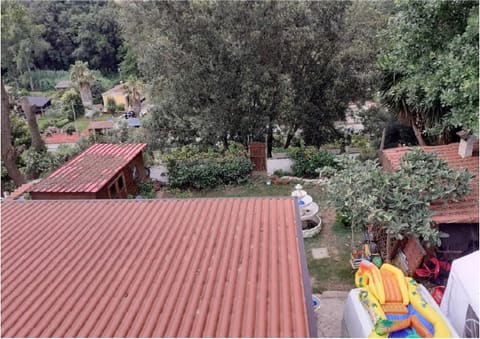 Photo of the lot 7