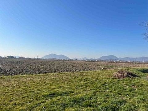 Photo of the lot 1