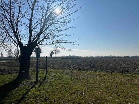 Photo of the lot 2