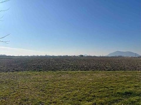 Photo of the lot 3