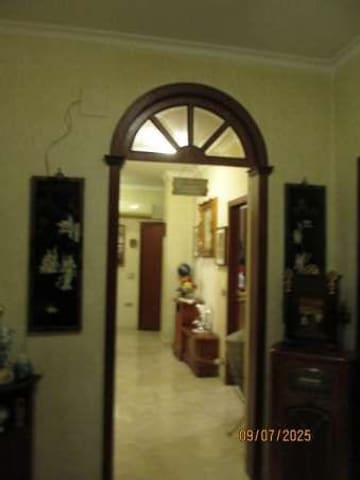 Photo of the lot 5