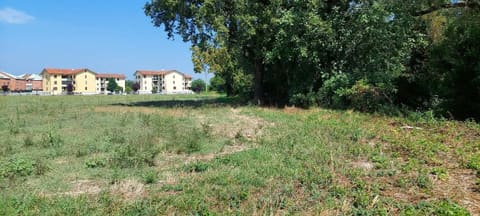 Photo of the lot 1