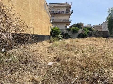 Photo of the lot 1