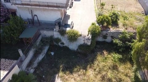 Photo of the lot 2