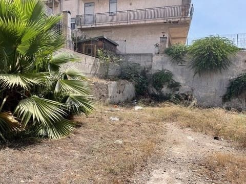 Photo of the lot 7