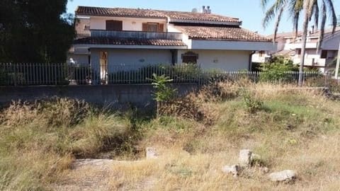 Photo of the lot 8