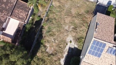 Photo of the lot 9