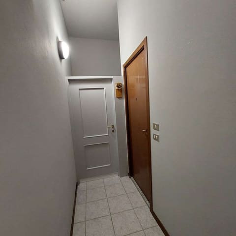 Photo of the lot 5