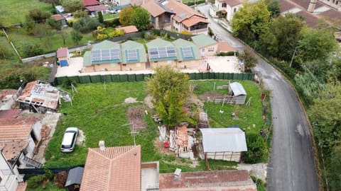 Photo of the lot 3