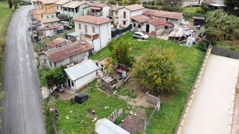 Photo of the lot 4